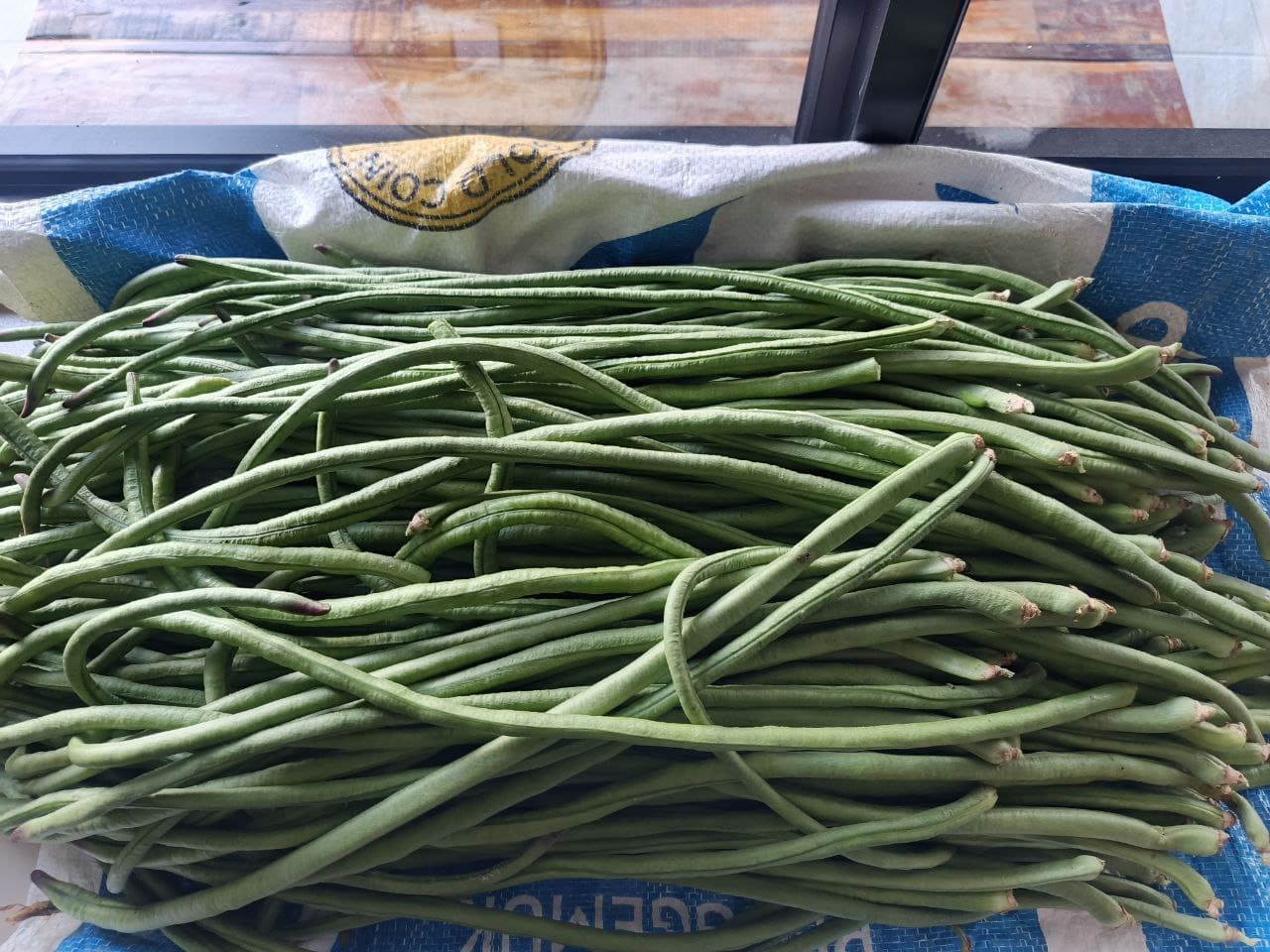 Long Bean (Kacang Panjang) grown at Satoyama Farm