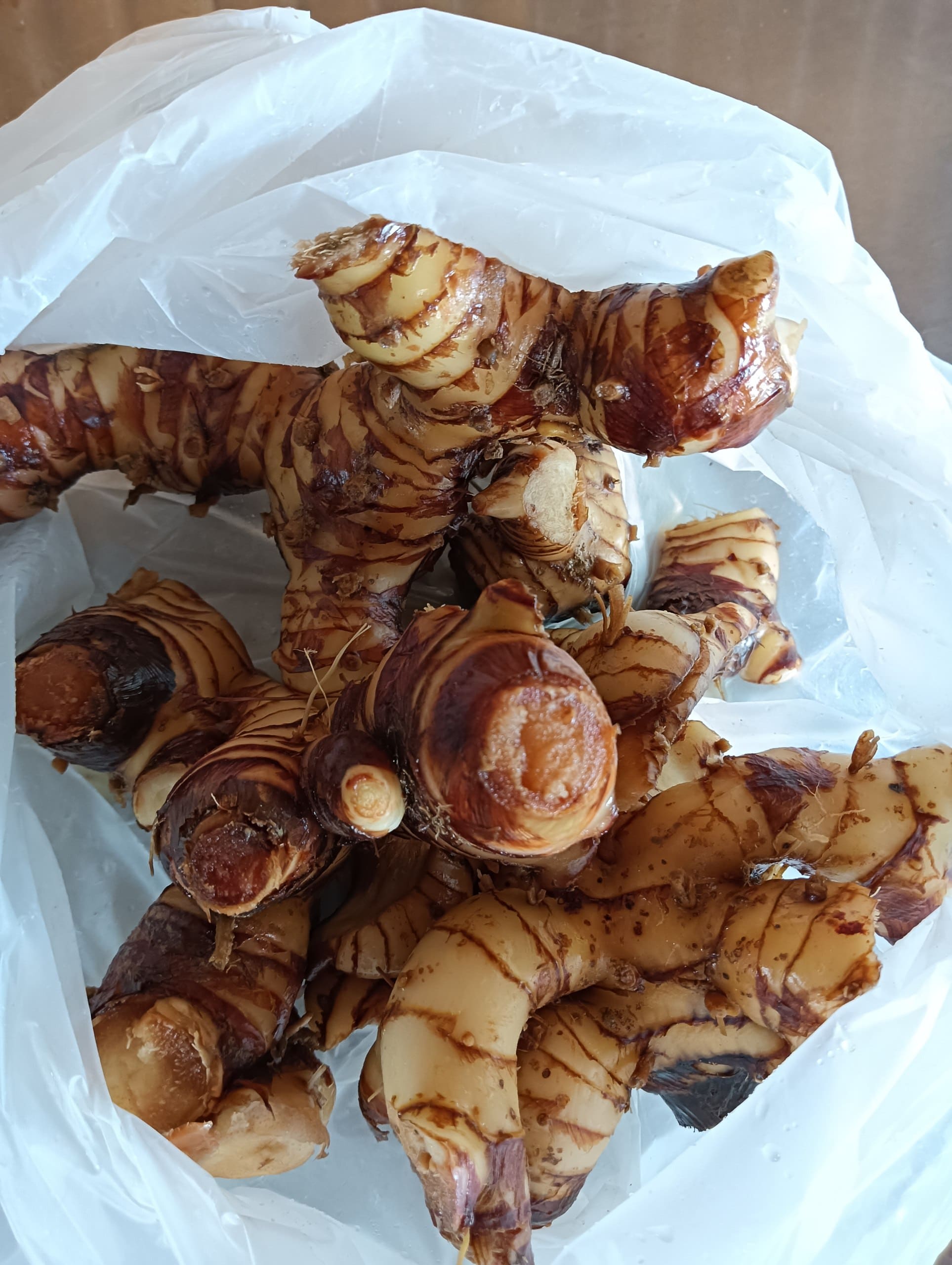 Galangal (Lengkuas) grown at Satoyama Farm