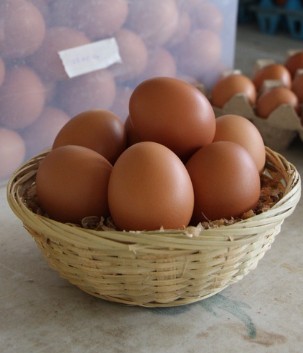 Free range chicken eggs from Satoyama Farm